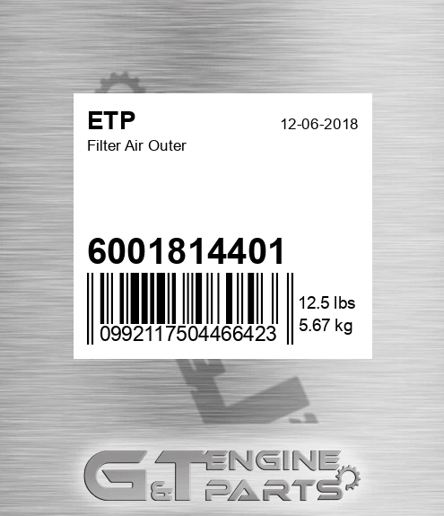 6001814401 Filter Air Outer for ETP