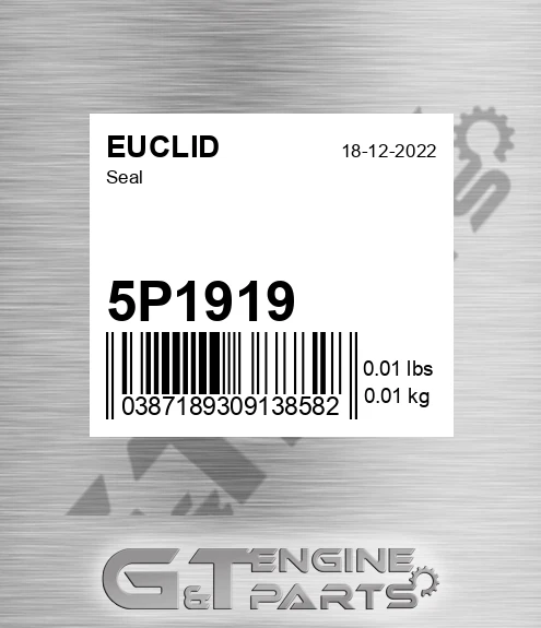5P1919 Seal for EUCLID