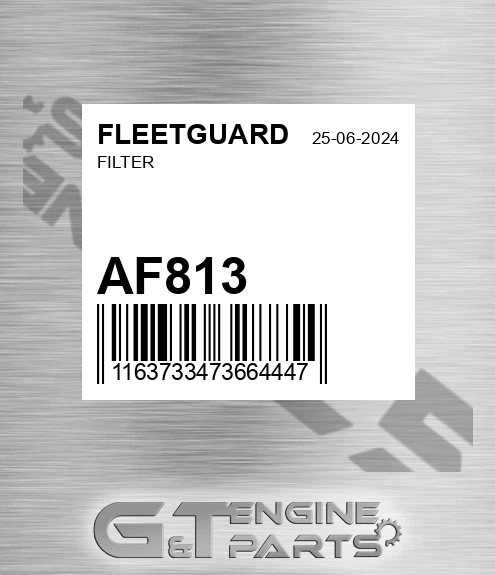 AF813 Filter