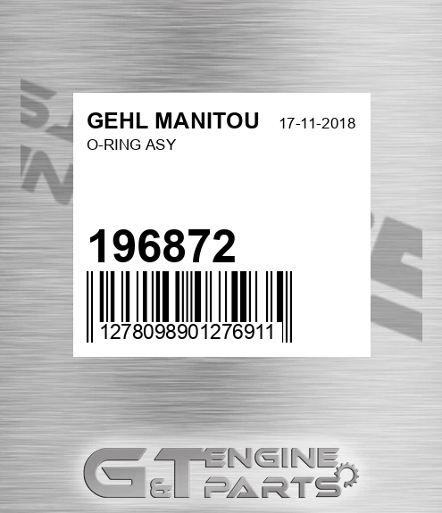 196872 O-ring Asy for GEHL MANITOU