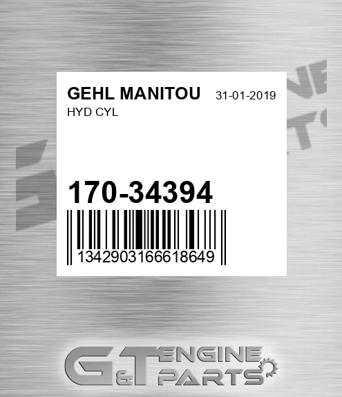 170-34394 Hyd Cyl for GEHL MANITOU