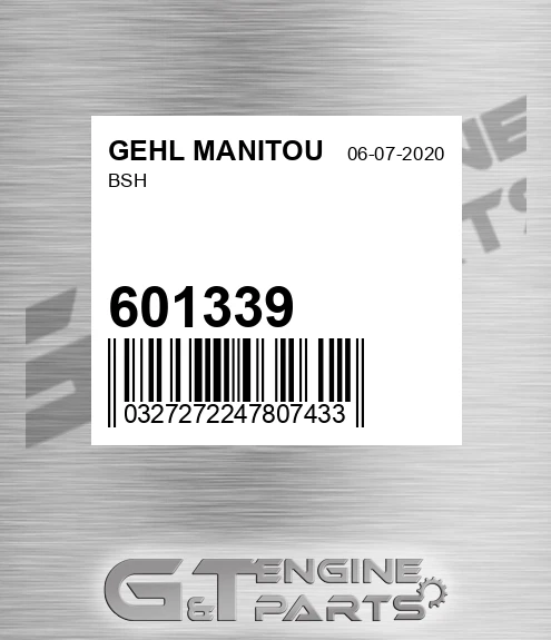 601339 Bsh for GEHL MANITOU