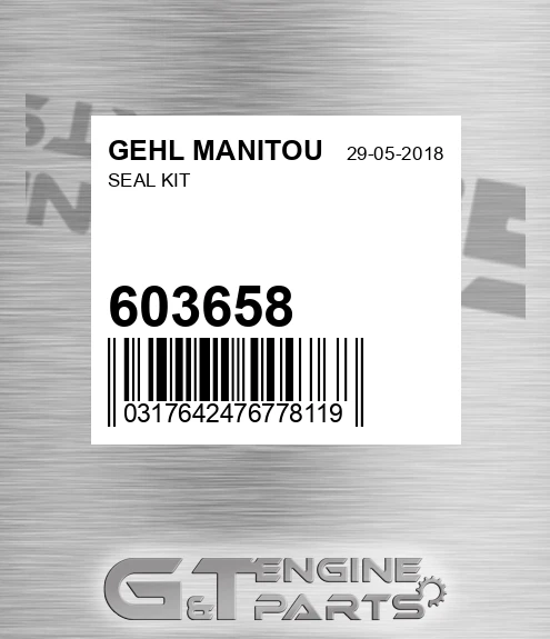 603658 Seal Kit for GEHL MANITOU