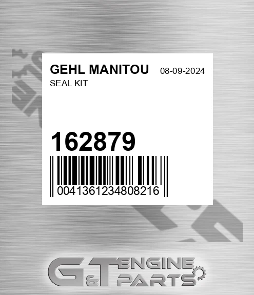 162879 Seal Kit for GEHL MANITOU