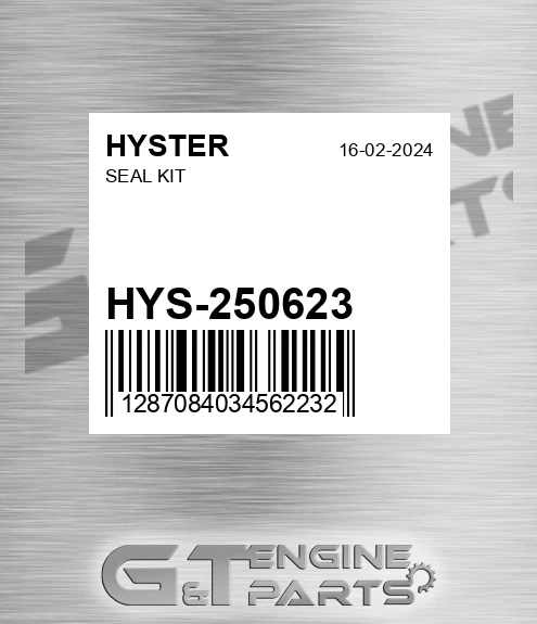 HYS-250623 Seal Kit