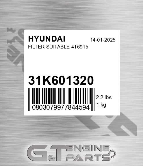 31K6-01320 Filter Suitable 4t6915 for HYUNDAI