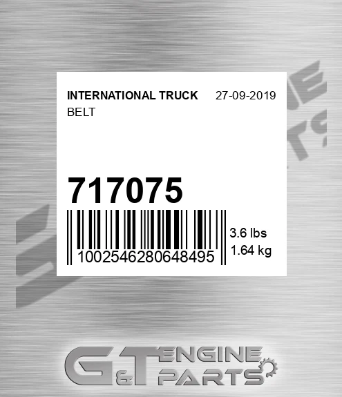 717075 Belt