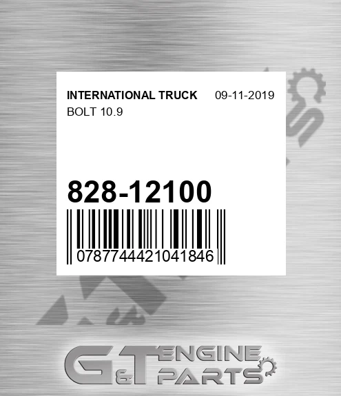 828-12100 Bolt 10.9