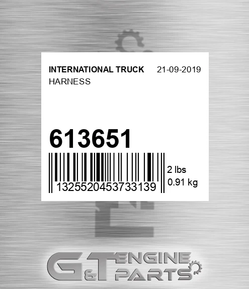 613651 INTERNATIONAL TRUCK Harness