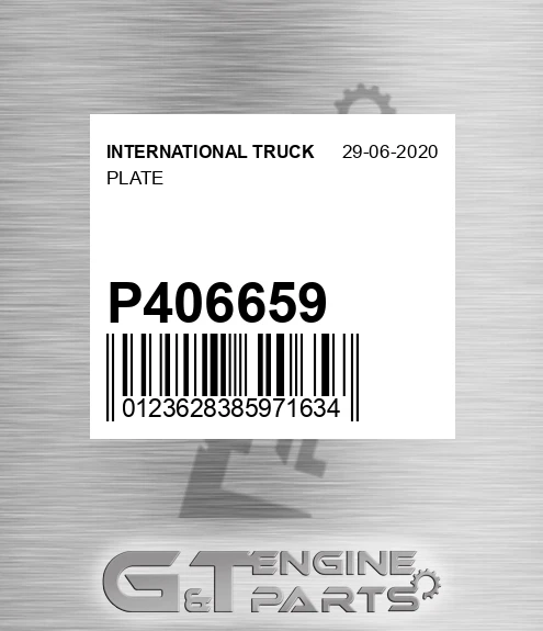 P406659 Plate