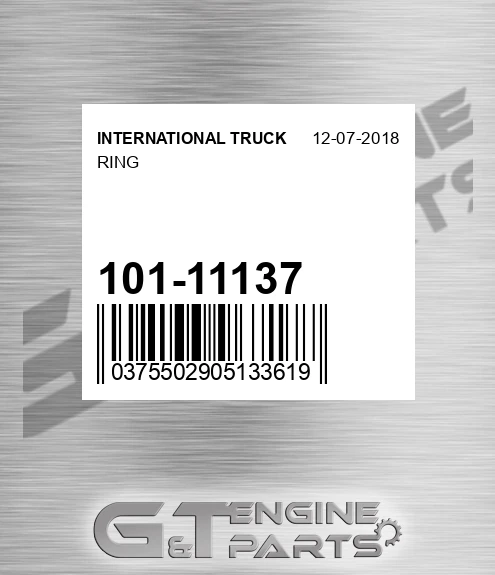 101-11137 Ring