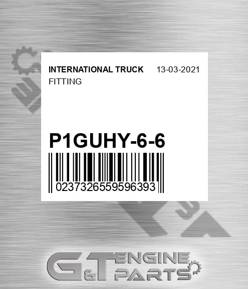 P1GUHY-6-6 Fitting