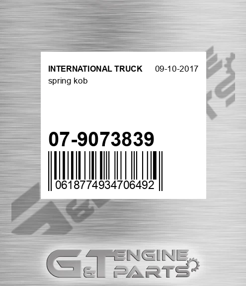 07-9073839 Spring Kob