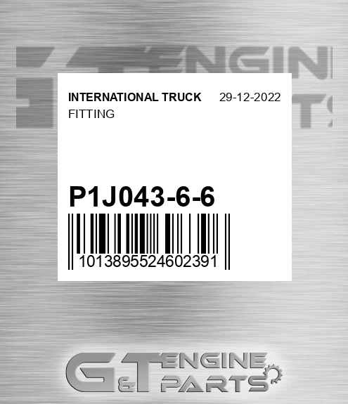 P1J043-6-6 Fitting