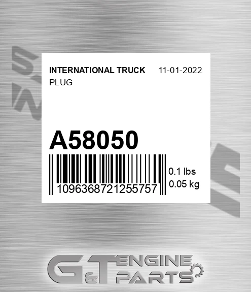 A58050 Plug