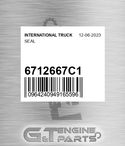 6712667C1 Seal