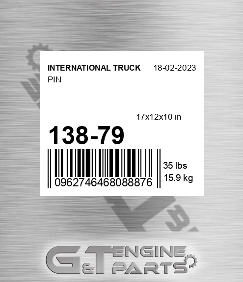 138-79 Pin