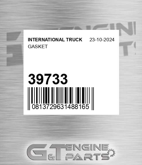 39733 Gasket