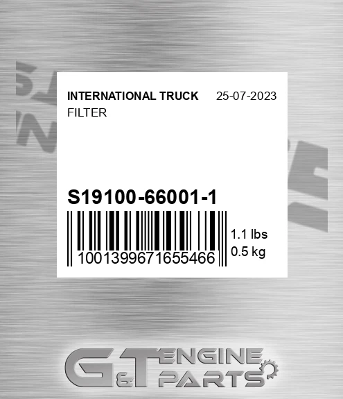 S19100-66001-1 Filter