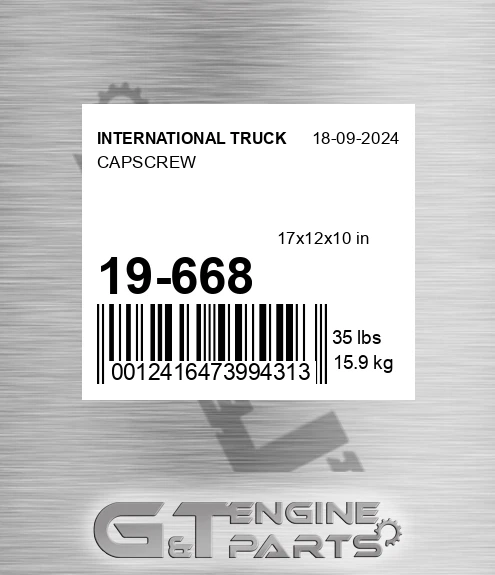 19-668 Capscrew