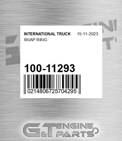 100-11293 Snap Ring