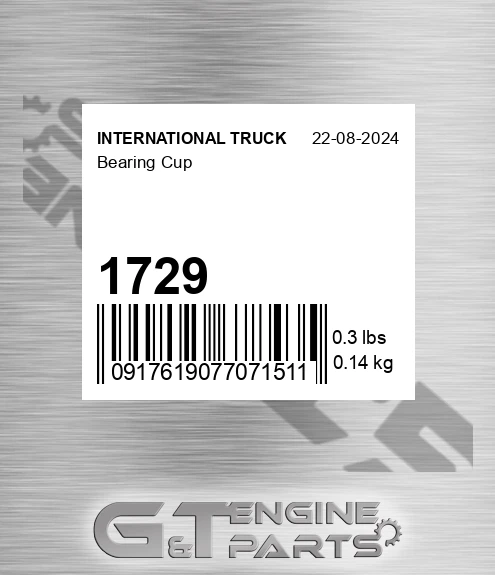 1729 INTERNATIONAL TRUCK Bearing Cup