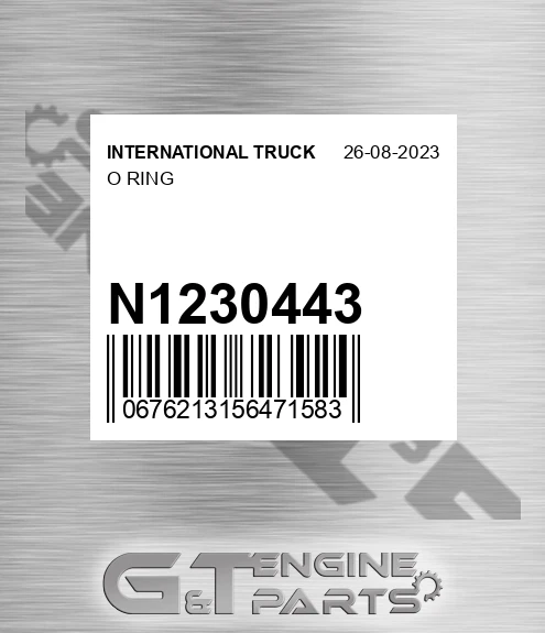 N1230443 O Ring