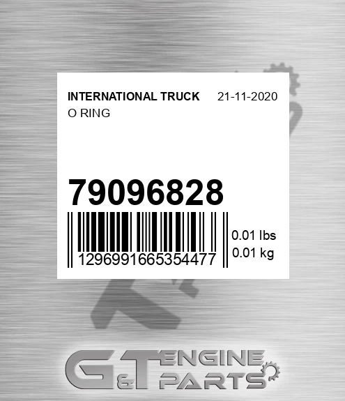 79096828 O Ring