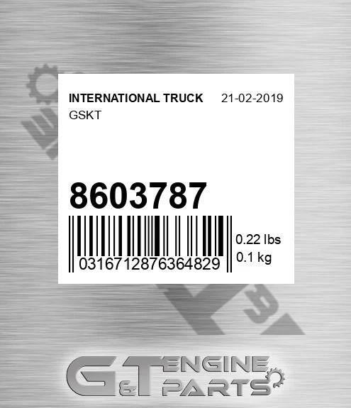 8603787 Gskt