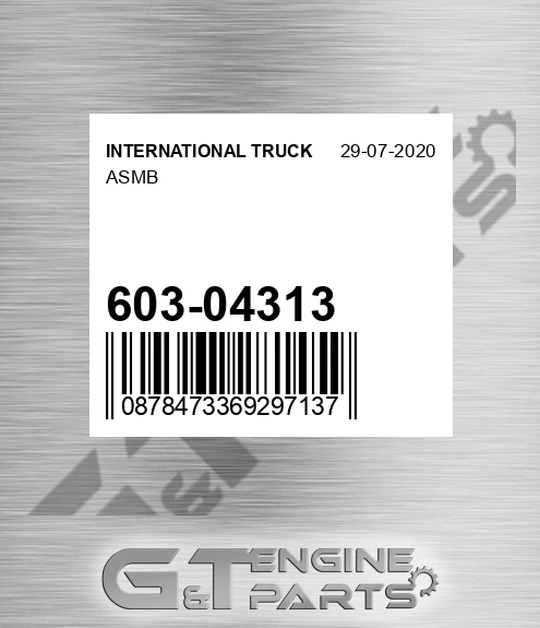 603-04313 Asmb