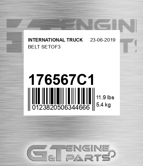 176567C1 Belt Setof3