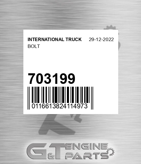 703199 Bolt