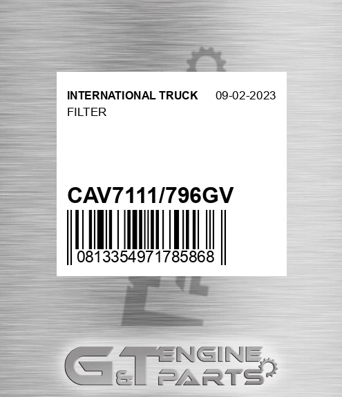 CAV7111/796GV Filter