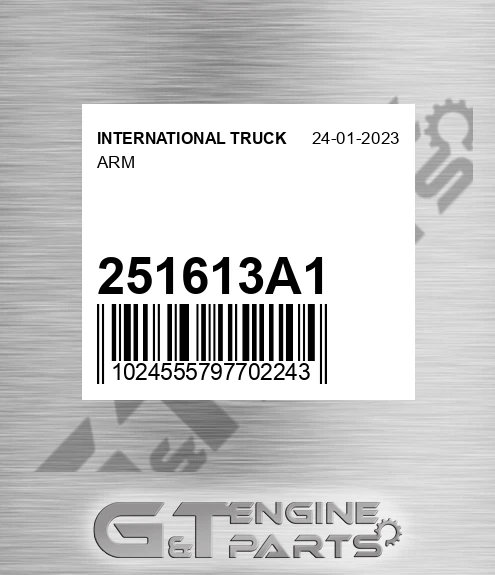 251613A1 Arm