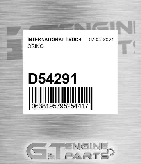D54291 INTERNATIONAL TRUCK Oring