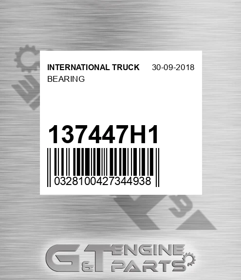 137447H1 Bearing