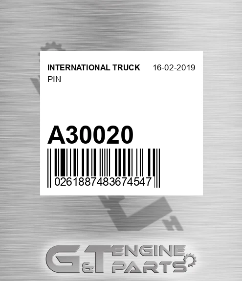 A30020 Pin