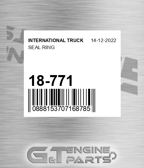 18-771 Seal Ring