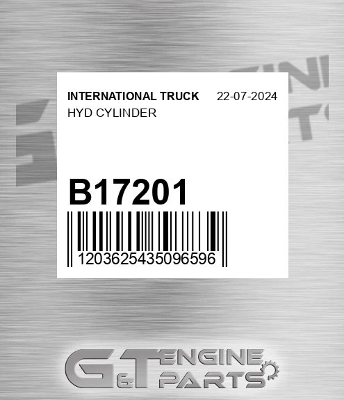 B17201 Hyd Cylinder