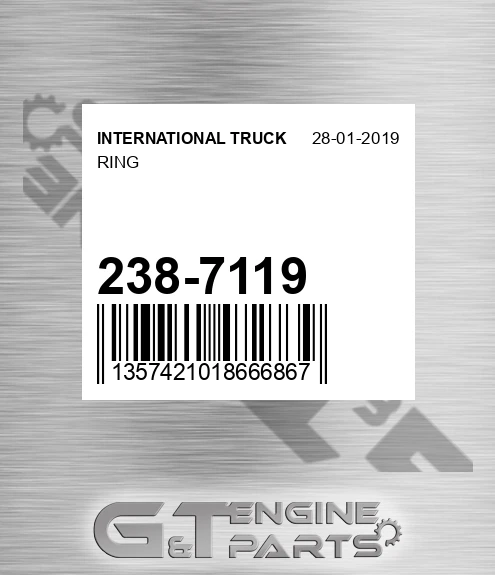 238-7119 Ring