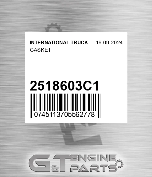 2518603C1 Gasket
