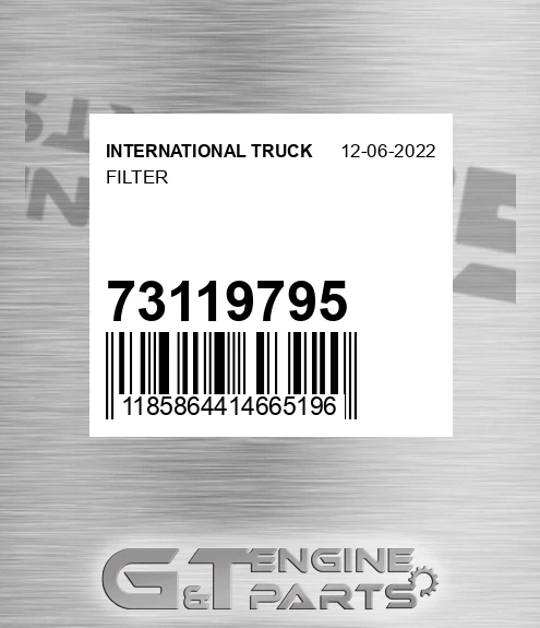 73119795 INTERNATIONAL TRUCK Filter