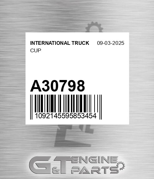 A30798 Cup