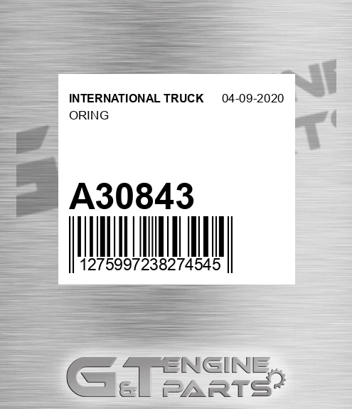 A30843 Oring
