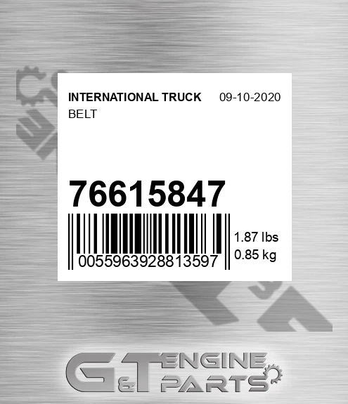 76615847 Belt