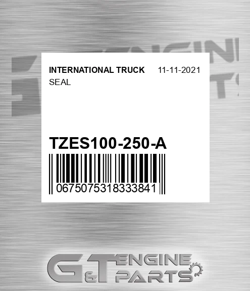 TZES100-250-A Seal