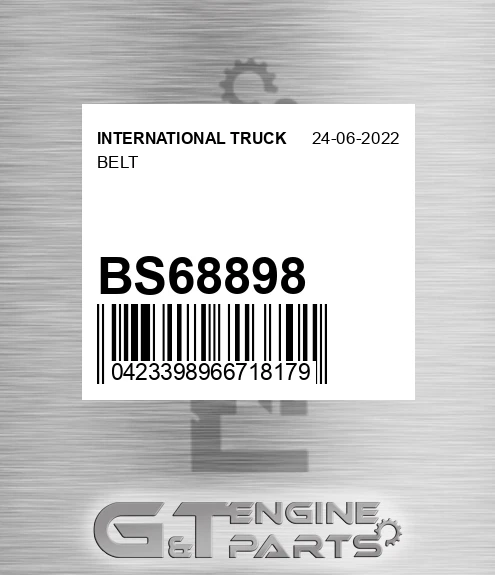 BS68898 Belt