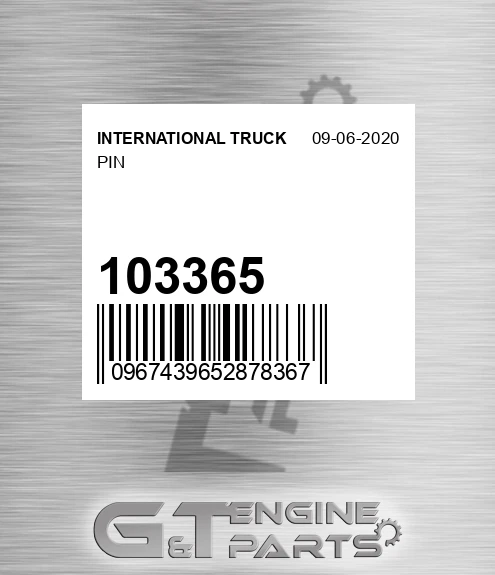 103365 Pin