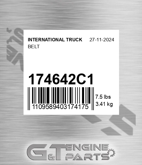 174642C1 Belt