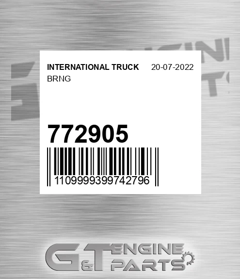 772905 Brng